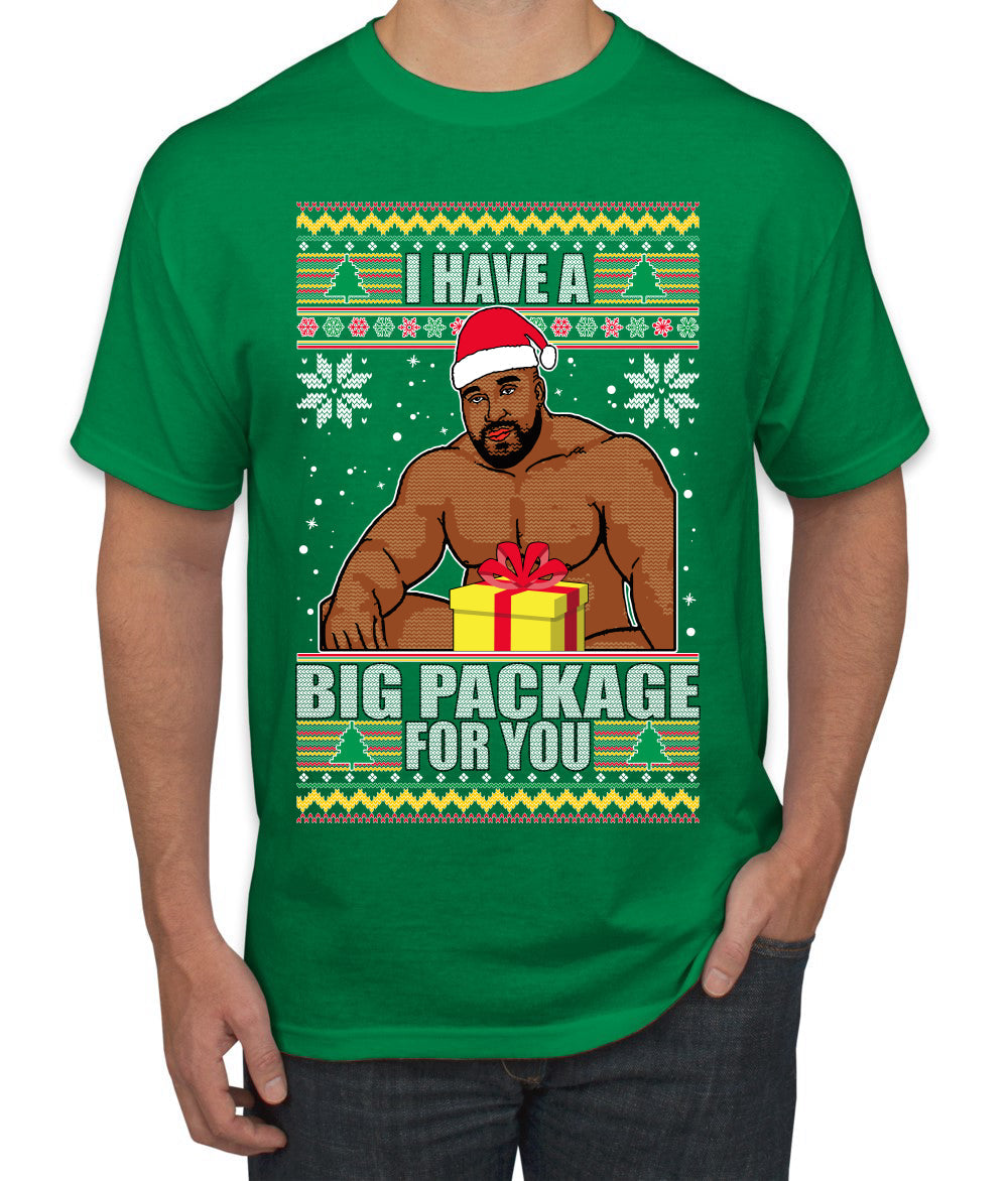 I Have A Big Package Meme Barry Wood Ugly Christmas Sweater Men's Graphic T-Shirt
