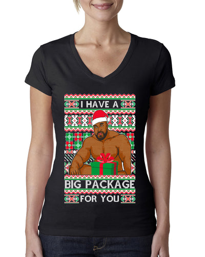 I have a Big package Meme Barry Wood  Ugly Christmas Sweater Womens Junior Fit V-Neck Tee