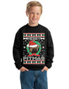 Merry Pitmas Ugly Christmas Sweater Unisex Boys Girls Crewneck Graphic Sweatshirt