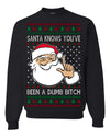 Santa Knows You've Been a Dumb Bitch Funny Vulgar Dirty Ugly Christmas Sweater Crewneck Sweatshirt