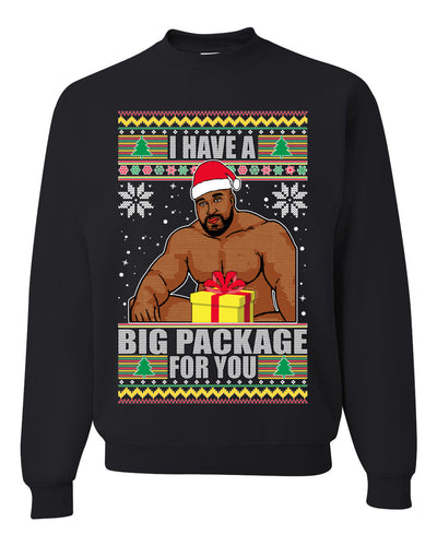 I Have A Big Package Meme Barry Wood Ugly Christmas Sweater Unisex Crewneck Graphic Sweatshirt