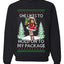 Hold My Package, Funny Unisex Ugly Christmas Crewneck Sweatshirts