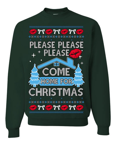 Please Please Please Come Home for Xmas Viral Pop Song Ugly Christmas Sweater Crewneck Sweatshirt