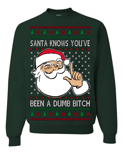 Santa Knows You've Been a Dumb Bitch Funny Vulgar Dirty Ugly Christmas Sweater Crewneck Sweatshirt