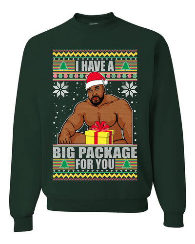 I Have A Big Package Meme Barry Wood Ugly Christmas Sweater Unisex Crewneck Graphic Sweatshirt