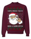 Santa Knows You've Been a Dumb Bitch Funny Vulgar Dirty Ugly Christmas Sweater Crewneck Sweatshirt
