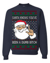Santa Knows You've Been a Dumb Bitch Funny Vulgar Dirty Ugly Christmas Sweater Crewneck Sweatshirt