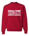 Viral Political Meme Shirt Sweater, Unisex Crewneck Sweatshirts