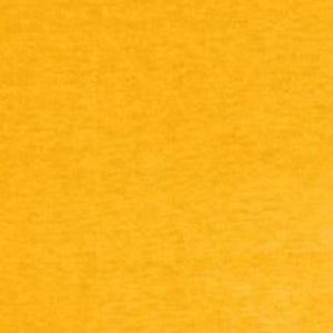 gold-navy.jpg